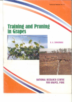 techbul-9-training-and-pruning-in-grapes.pdf